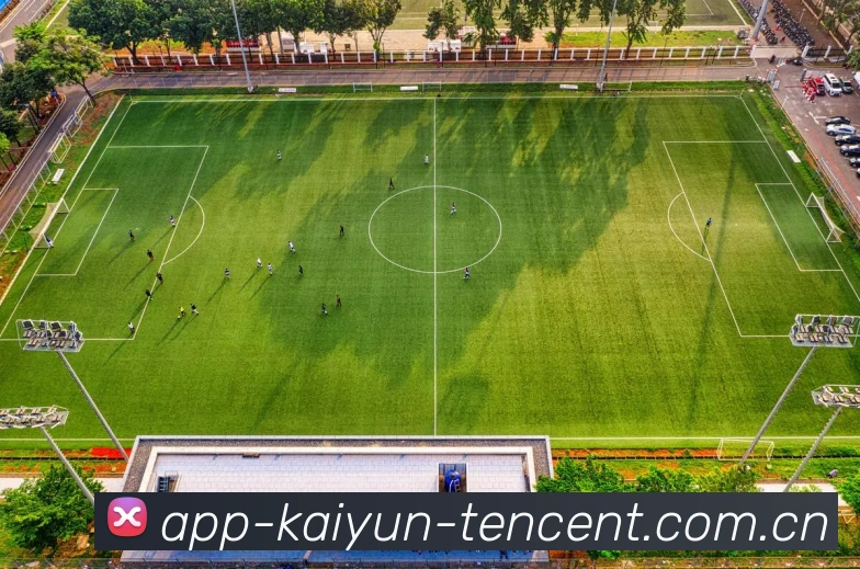 开云官方APP界面展示